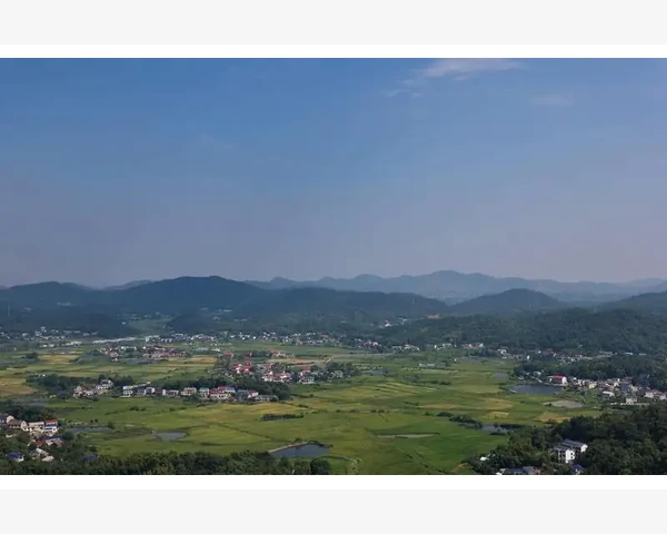 B2B贸易网站选型运营关键要素